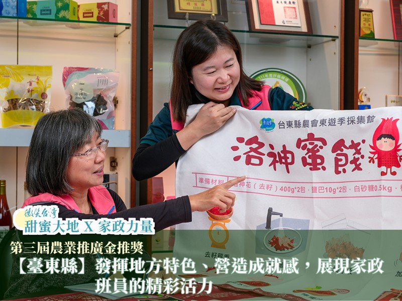 [專訪]【臺東縣】發揮地方特色、營造成就感，展現家政班員的精彩活力(標題圖檔)